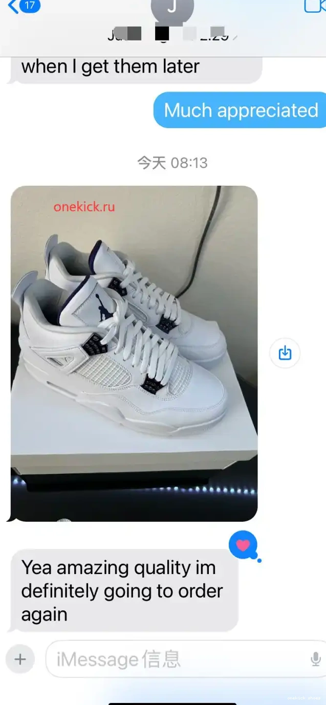 Chep Onekick Court 4 Air Purple Jordan CT8527-115 0328